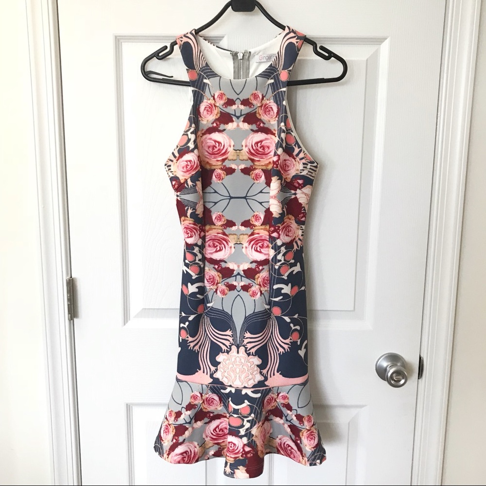 Ginger Fizz body-con printed dress